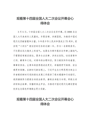 2024年两会观看第十四届全国人大二次会议开幕会学习心得体会五十篇.docx