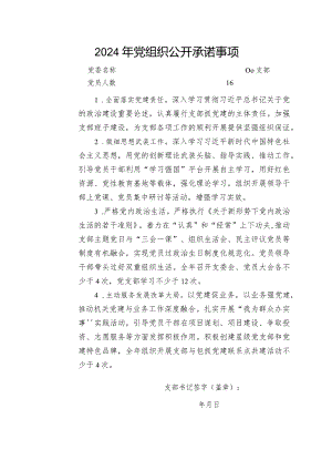2024年党组织公开承诺事项.docx