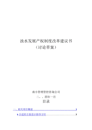 X水电开发企业发展产权制度改革建议书.docx