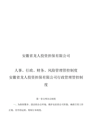 X投资担保企业行政制度范文.docx
