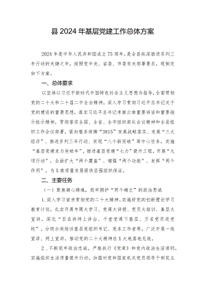 县2024年基层党建工作总体方案.docx