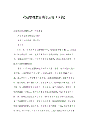 欢迎领导发言稿怎么写（3篇）.docx
