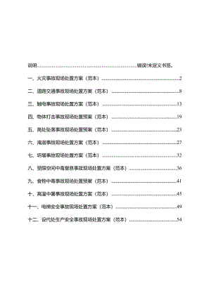 001现场处置方案范本.docx