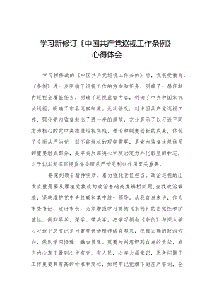 巡察干部学习2024新版中国共产党巡视工作条例的心得体会14篇.docx