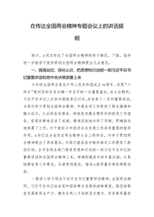 在传达全国两会精神专题会议上的讲话提纲.docx