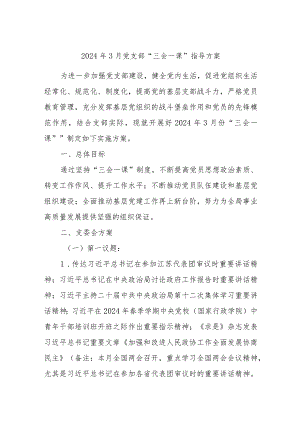2024年3月党支部“三会一课”指导方案.docx