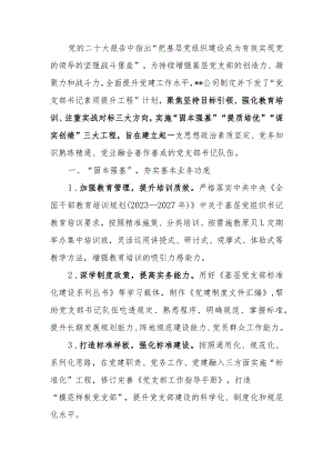 2024年某公司基层党支部书记素质提升工程计划.docx
