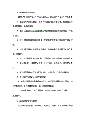 项目安全管理职责(上墙板).docx