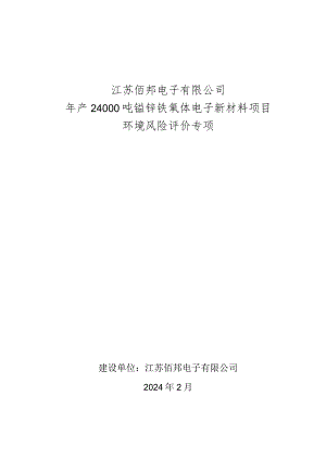 年产24000吨锰锌铁氧体电子新材料项目环境风险评价专项.docx