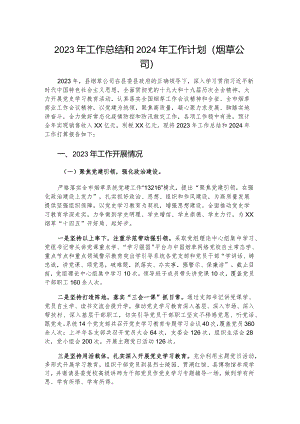 2023年工作总结和2024年工作计划（烟草公司）.docx