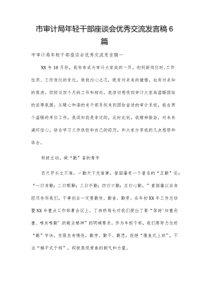 市审计局年轻干部座谈会优秀交流发言稿6篇.docx