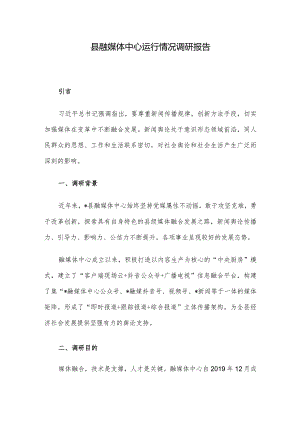 县融媒体中心运行情况调研报告.docx
