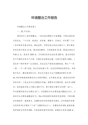 环境整治工作报告.docx