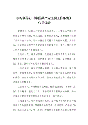 学习新修订《中国共产党巡视工作条例2024版》心得体会14篇.docx