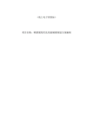 现代化美丽城镇规划方案编制招标文件.docx