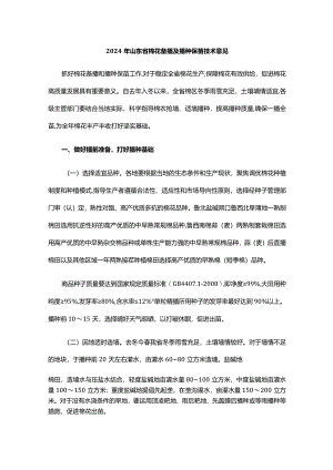 2024年山东省棉花备播及播种保苗技术意见.docx
