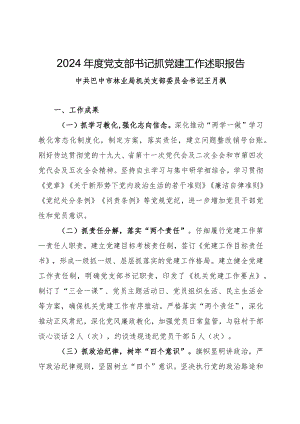 2024党支部书记抓党建工作述职报告.docx