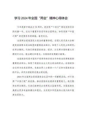 学习贯彻2024年“两会”精神心得体会简短发言二十篇.docx