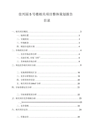 X楼盘项目整体策划报告.docx