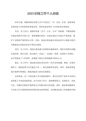 2023纪检工作个人总结.docx