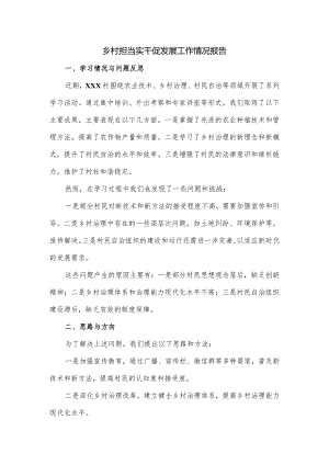 乡村担当实干促发展工作情况报告.docx
