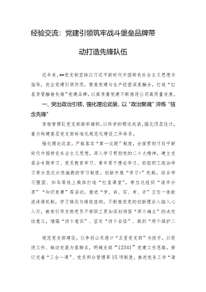 经验交流：党建引领筑牢战斗堡垒品牌带动打造先锋队伍.docx