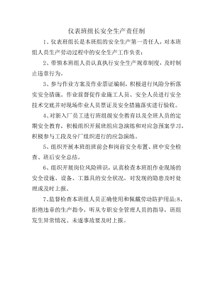 仪表班组长安全生产责任制.docx
