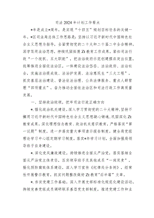 司法2024年计划工作要点.docx