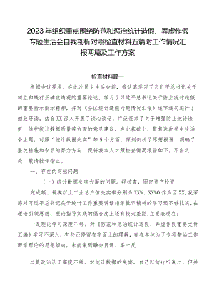 2023年组织重点围绕防范和惩治统计造假、弄虚作假专题生活会自我剖析对照检查材料五篇附工作情况汇报两篇及工作方案.docx