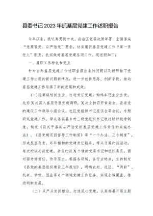 2023年度抓基层党建工作述职报告（县委书记）.docx