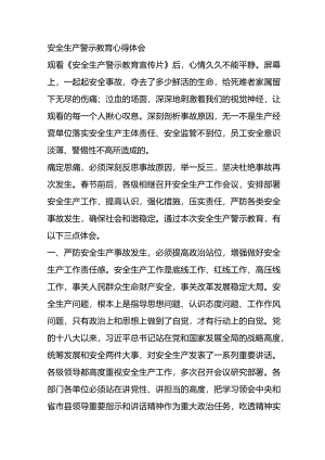 安全生产警示教育心得体会.docx
