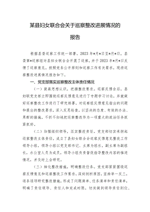 某县妇女联合会关于巡察整改进展情况的报告.docx