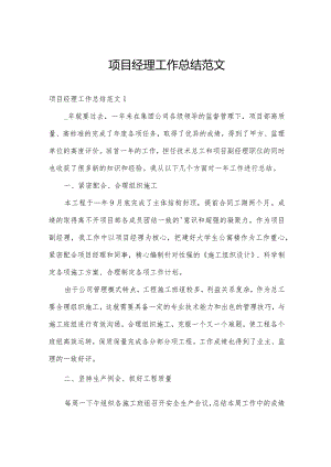 项目经理工作总结范文.docx