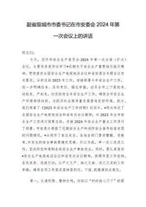 副省级城市市委书记在市安委会2024年第一次会议上的讲话.docx