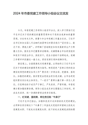 2024年市委党建工作领导小组会议交流发言.docx