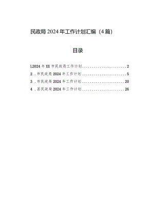 民政局2024年工作计划汇编（4篇）.docx