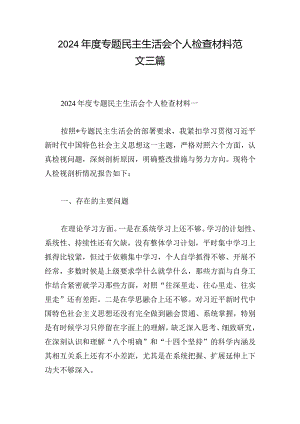 2024年度专题民主生活会个人检查材料范文三篇.docx