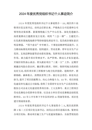 2024年度优秀党组织书记个人事迹简介.docx