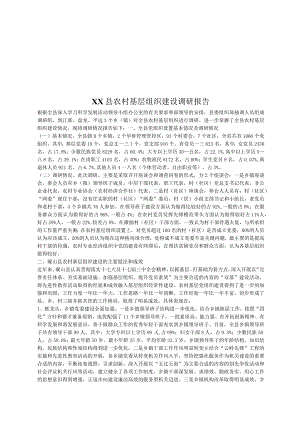 XX县农村基层组织建设调研报告模板.docx