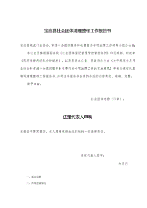 XX县社会团体清理整顿工作报告书.docx