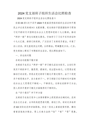 2024党支部班子-组织生活会对照检查.docx