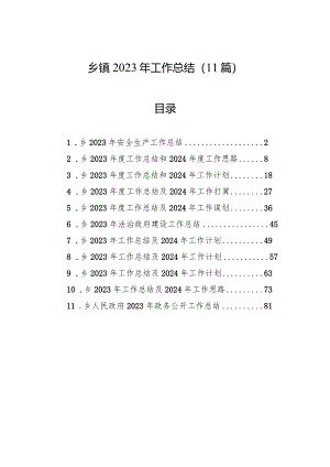 2023年工作总结（乡镇）（11篇）.docx