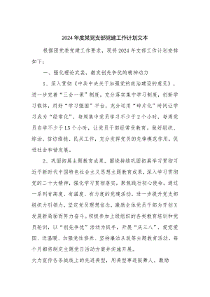 2024年度某党支部党建工作计划文本.docx