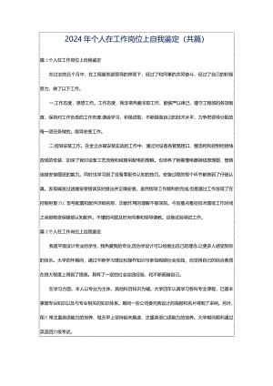 2024年个人在工作岗位上自我鉴定（共篇）.docx