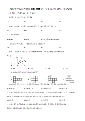 20.人教版·湖北省黄石市大冶市期末）.docx