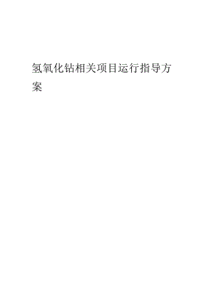 2023年氢氧化钴相关项目运行指导方案.docx