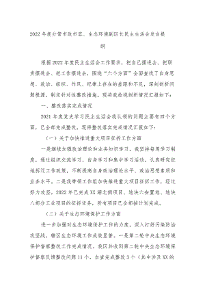2022年度分管市政市容、生态环境副区长民主生活会发言提纲【】.docx