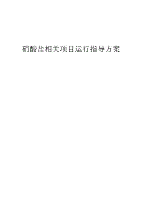 2023年硝酸盐相关项目运行指导方案.docx