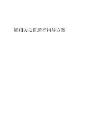 2023年铟相关项目运行指导方案.docx