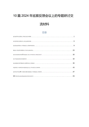 10篇2024年巡察反馈会议上的专题研讨交流材料.docx